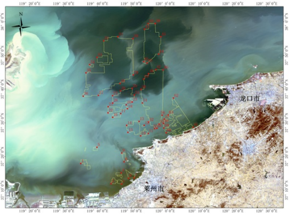 1753109851767592.png image.png